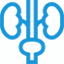 urology